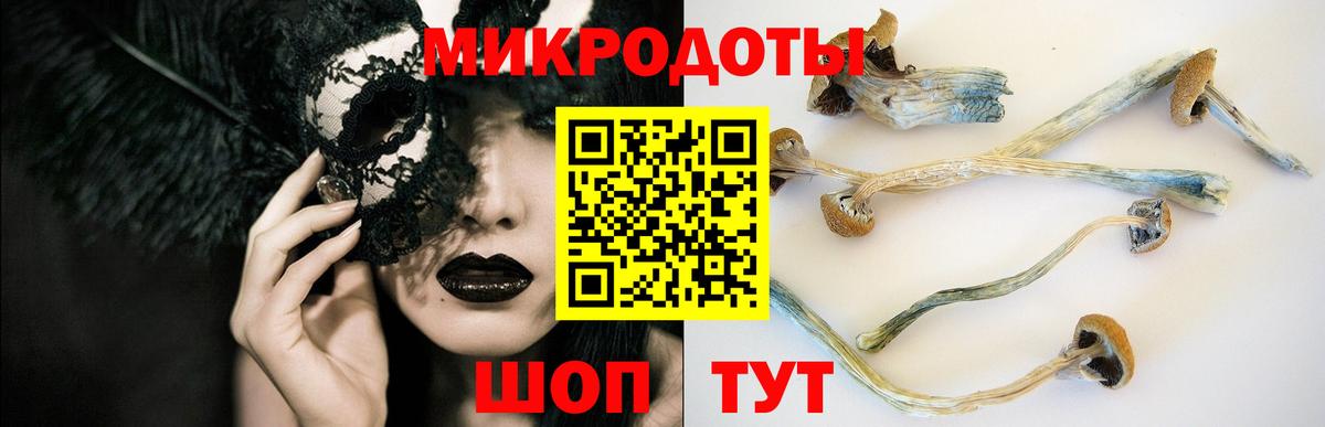 Псилоцибиновые грибы мицелий  Галлюциногенные грибы Psilocybine cubensis  Вход с VPN  купить наркотики сайты  Елизово 